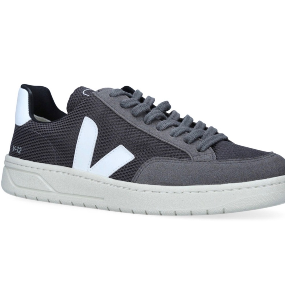 Veja sneakers (EUC)